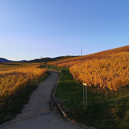 L'Altenberg Bergheim Exteriör bild