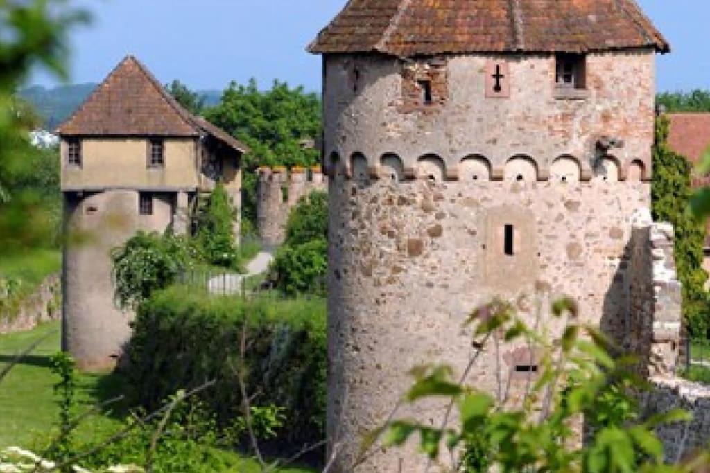 L'Altenberg Bergheim Exteriör bild