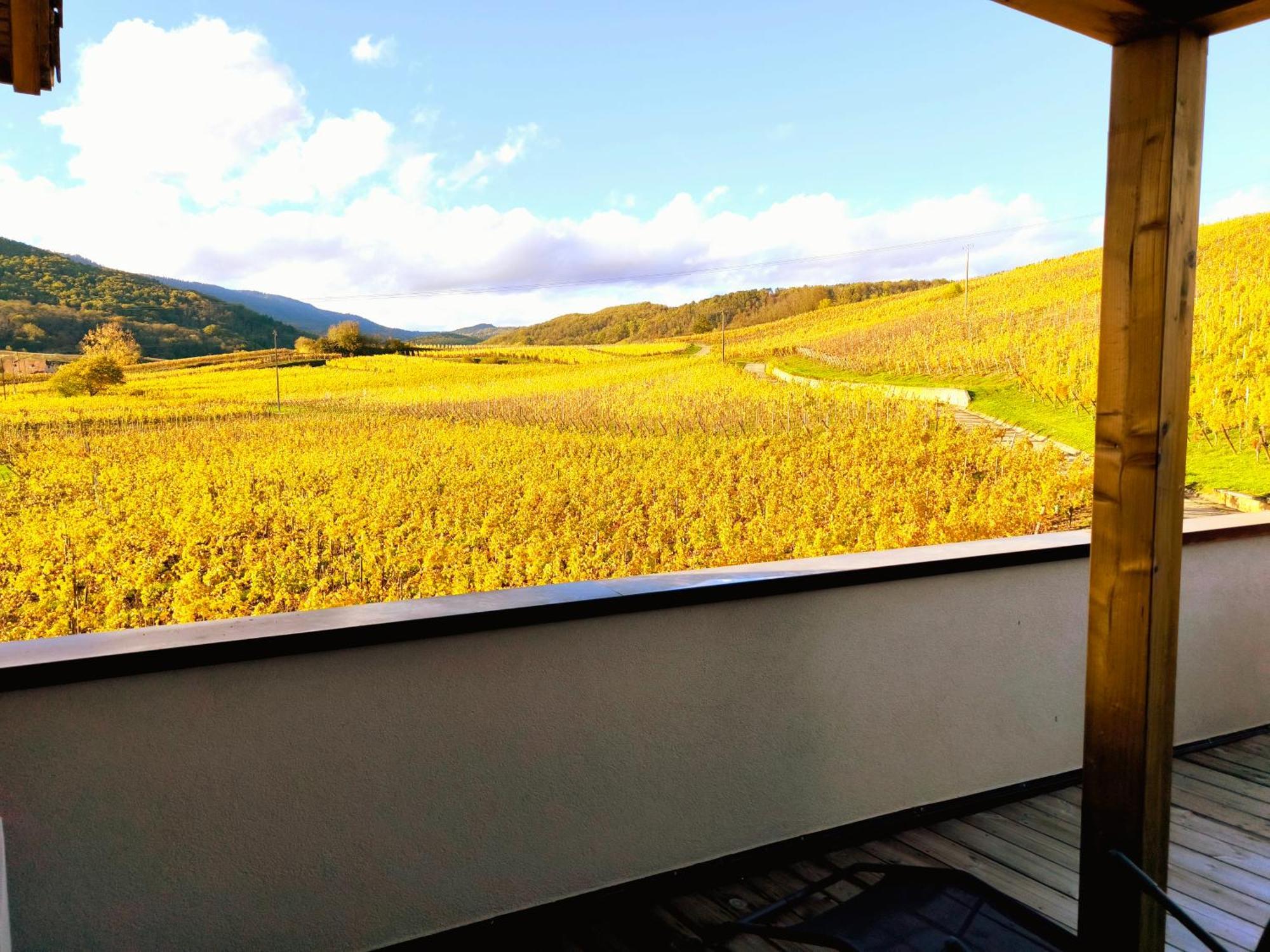L'Altenberg Bergheim Exteriör bild