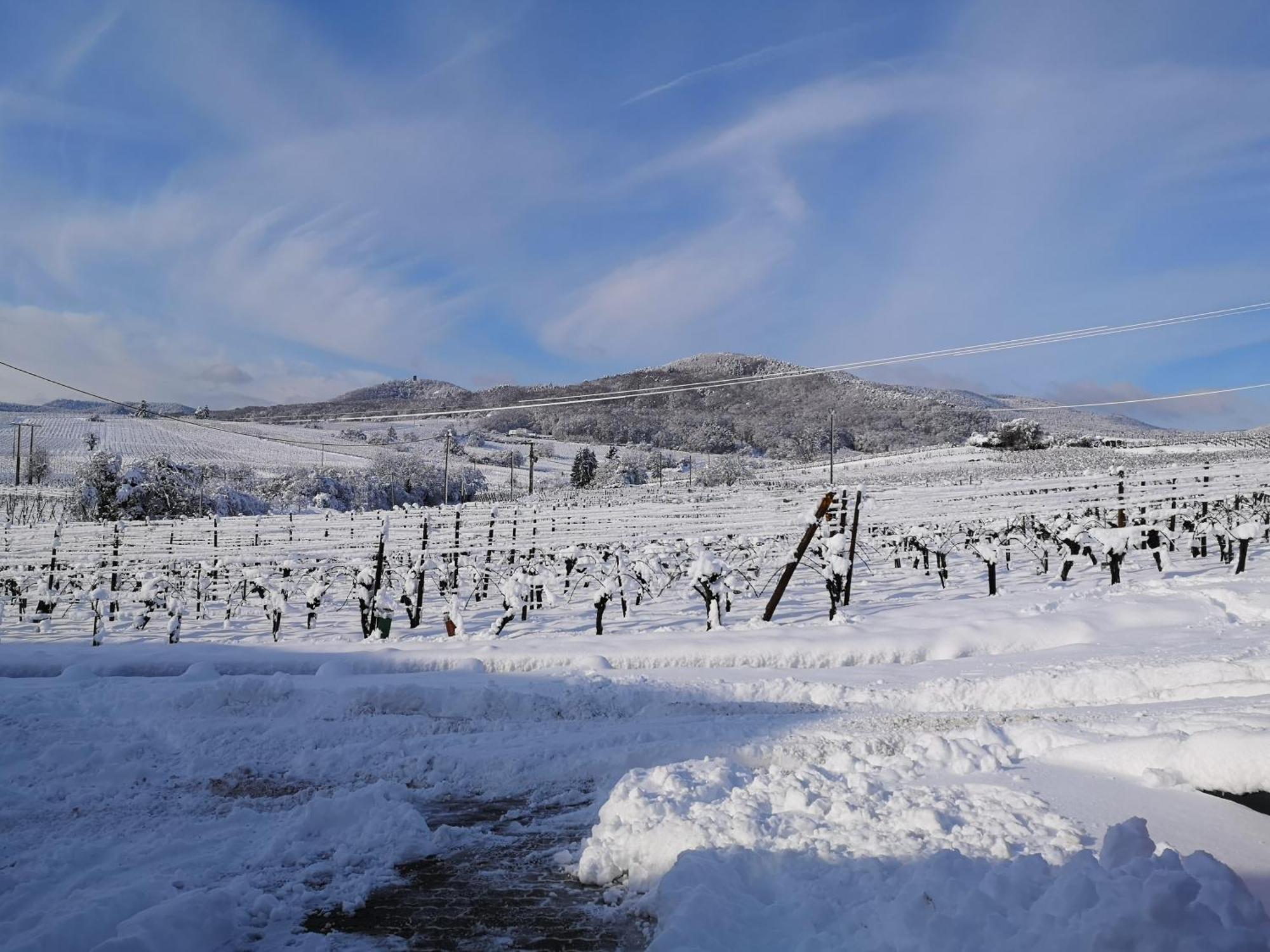 L'Altenberg Bergheim Exteriör bild